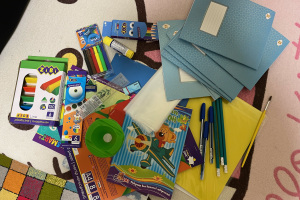 lebedenko-anastasiya2